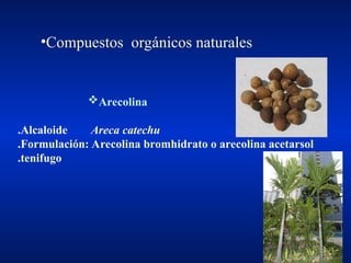 FGF414256544-Antiparasitario-Interno.ppt