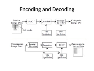 Encoding and Decoding
 