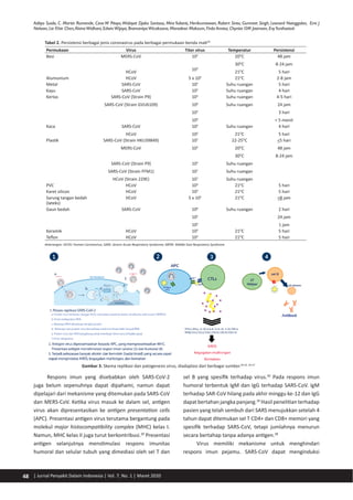 48 | Jurnal Penyakit Dalam Indonesia | Vol. 7, No. 1 | Maret 2020
Adityo Susilo, C. Martin Rumende, Ceva W Pitoyo,Widayat Djoko Santoso, MiraYulianti, Herikurniawan, Robert Sinto, Gurmeet Singh, Leonard Nainggolan, Erni J
Nelwan, Lie Khie Chen,AlvinaWidhani, EdwinWijaya, BramantyaWicaksana, Maradewi Maksum, Firda Annisa, Chyntia OM Jasirwan, EvyYunihastuti
Tabel 2. Persistensi berbagai jenis coronavirus pada berbagai permukaan benda mati29
Permukaan Virus Titer virus Temperatur Persistensi
Besi MERS-CoV
HCoV
105
103
20O
C
30O
C
21O
C
48 jam
8-24 jam
5 hari
Alumunium HCoV 5 x 103
21O
C 2-8 jam
Metal SARS-CoV 105
Suhu ruangan 5 hari
Kayu SARS-CoV 105
Suhu ruangan 4 hari
Kertas SARS-CoV (Strain P9)
SARS-CoV (Strain GVU6109)
105
106
105
104
Suhu ruangan
Suhu ruangan
4-5 hari
24 jam
3 hari
< 5 menit
Kaca SARS-CoV
HCoV
105
103
Suhu ruangan
21O
C
4 hari
5 hari
Plastik SARS-CoV (Strain HKU39849)
MERS-CoV
SARS-CoV (Strain P9)
SARS-CoV (Strain FFM1)
HCoV (Strain 229E)
105
105
105
107
107
22-25O
C
20O
C
30O
C
Suhu ruangan
Suhu ruangan
Suhu ruangan
<5 hari
48 jam
8-24 jam
PVC HCoV 103
21O
C 5 hari
Karet silicon HCoV 103
21O
C 5 hari
Sarung tangan bedah
(lateks)
HCoV 5 x 103
21O
C <8 jam
Gaun bedah SARS-CoV 106
105
104
Suhu ruangan 2 hari
24 jam
1 jam
Keramik HCoV 103
21O
C 5 hari
Teflon HCoV 103
21O
C 5 hari
Keterangan: HCOV: Human Coronavirus; SARS: Severe Acute Respiratory Syndrome; MERS: Middle East Respiratory Syndrome
Respons imun yang disebabkan oleh SARS-CoV-2
juga belum sepenuhnya dapat dipahami, namun dapat
dipelajari dari mekanisme yang ditemukan pada SARS-CoV
dan MERS-CoV. Ketika virus masuk ke dalam sel, antigen
virus akan dipresentasikan ke antigen presentation cells
(APC). Presentasi antigen virus terutama bergantung pada
molekul major histocompatibility complex (MHC) kelas I.
Namun, MHC kelas II juga turut berkontribusi.30
Presentasi
antigen selanjutnya menstimulasi respons imunitas
humoral dan selular tubuh yang dimediasi oleh sel T dan
sel B yang spesifik terhadap virus.30
Pada respons imun
humoral terbentuk IgM dan IgG terhadap SARS-CoV. IgM
terhadap SAR-CoV hilang pada akhir minggu ke-12 dan IgG
dapat bertahan jangka panjang.30
Hasil penelitian terhadap
pasien yang telah sembuh dari SARS menujukkan setelah 4
tahun dapat ditemukan sel T CD4+ dan CD8+ memori yang
spesifik terhadap SARS-CoV, tetapi jumlahnya menurun
secara bertahap tanpa adanya antigen.38
Virus memiliki mekanisme untuk menghindari
respons imun pejamu. SARS-CoV dapat menginduksi
Gambar 3. Skema replikasi dan patogenesis virus, diadaptasi dari berbagai sumber.30-32, 34-37
 