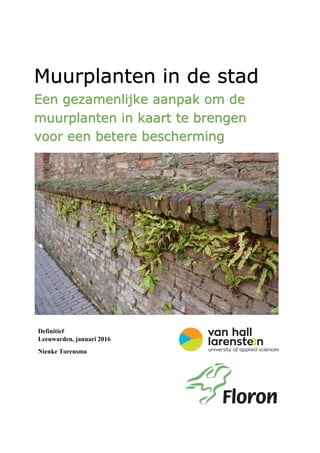 Definitief
Leeuwarden, januari 2016
Nienke Torensma
Muurplanten in de stad
Een gezamenlijke aanpak om de
muurplanten in kaart te brengen
voor een betere bescherming
 
