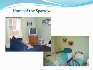 Home of the Sparrow
 