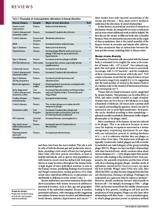 0123456789();:
and these have been the most studied. This site is rich
in cells of both the human gut and prokaryotic micro­
biota, providing a rich variety of hosts for viral growth.
Most other sites have sparser microbiota, at least in
healthy individuals, and so sparser viral populations as
well; however, recent work has defined rich viral popu­
lations at many locations throughout the human body.
A high degree of inter-individual variation is seen in
the human virome, paralleling findings from bacterial
and fungal communities, raising questions of to what
extent inter-individual differences in phenotypes are
attributable to differences in the virome (Table 1).
Recent studies have uncovered numerous factors that
show associations with virome structure in addition to
anatomical location, such as diet, age and geographic
location of the individual sampled. Disease is another
prominent influence, with emerging studies suggesting
associations between virome structure and inflammatory
bowel disease, diabetes, hypertension and cancer11–19
.
Most studies have only reported associations of the
virome and diseases — thus, more work is needed to
understand the directions of causal relationships.
In this Review, we provide an overview of research on
the human virome, focusing both on secure conclusions
and on areas where additional work would be helpful. We
first discuss the virome at different body sites in healthy
humans. Next, we summarize nascent work on the origin
of these populations, that is, the initial assembly of the
human virome in neonates and infants after delivery.
We then summarize data on interactions between the
host and the virome, including links to disease states.
Human virome diversity
The number of bacterial cells associated with the human
body is estimated to be roughly the same as the num­
ber of human cells, ~1013
in total20
. One estimate sug­
gests that each gram of metazoan tissue is associated,
on average, with 3 × 109
bacteria21
, and the complexity
of these communities increases with body size22
. VLP
counts in humans reveal that the ratios between viruses
and bacteria range from roughly 0.1 to 10, suggesting
that the total number of viruses in the human body is
of a similar order to the number of bacterial and human
cells (reviewed in ref.10
).
Viruses that are found in humans can be categorized
by various features. Viral genomes can be either RNA or
DNA, and either double-stranded or single-stranded.
Genome sizes can be as low as a few kilobases or as large
as hundreds of kilobases. All viruses have a protein shell
(or capsid) surrounding the genome; viruses can also be
enclosed in one or more lipid membranes. Viral parti­
cles can be classified according to their morphology —
spherical(usuallyicosahedral),filamentous,bullet-shaped,
pleomorphic or, for phages, tailed.
Most constituents of the human virome are inferred
to be phages. This is an inference because, in most
cases, the majority of sequences uncovered in a virome
metagenomic sequencing experiment do not align
with any information present in existing databases
(Box 1), so it is unknown whether they are phages or
some other virus types. The major taxa of phages are
typically Caudovirales (tailed phages) and Microviridae
(icosahedral non-tailed phages) of the group including
phage ΦX174. Phages can have multiple relationships
with their bacterial hosts, which constrain ideas about
virome dynamics (Fig. 1). Lytic phages inject their nucleic
acid into cells, leading to the synthesis of new viral com­
ponents, the assembly of particles and the lysis of host
cells, thus releasing progeny phages. Another mode of
replication, carried out by temperate phages, can spare
the host initially. Phages inject DNA into cells, after
which the DNA can then become integrated into the host
cell chromosome, forming a prophage. Prophages are
maintained in a quiescent state by repressor proteins23
.
However, should conditions become unfavourable in
the host cell — for example, by damage to DNA — phage
DNA can become excised from the cellular chromosome
leading to lytic growth, resulting in cell lysis and the
production of viral progeny. Phages can also have other
relationships with their hosts — one is pseudolysogeny,
in which phage genomes persist as episomes without
Table 1 | Examples of viral population alterations in human disorders
Human disease Sample Major virome alteration ref.
Severe acute
malnutrition
Faeces Reduced viral diversity 102
Crohn’s disease and
ulcerative colitis
Faeces Increased Caudovirales richness 14
Crohn’s disease Faeces and
biopsies
Moderate alterations 152
AIDS Faeces Increased enteric adenoviruses 30
Type 1 diabetes Faeces Reduced viral diversity 16
Hypertension Faeces Erwinia phage ΦEaH2 and Lactococcus
phage 1706 may be associated with
hypertension
18
Type 2 diabetes Faeces Increased putative phage scaffolds 153
DOCK8 deficiency Skin swabs Increased skin virome, especially human
papillomavirus
71
Colorectal cancer Faeces Increased viral diversity 19
Crohn’s disease and
ulcerative colitis
Faeces Increased Caudovirales abundance 11
Type 1 diabetes
during pregnancy
Faeces Increased picobirnaviruses and
tobamoviruses
17
Bacterial vaginosis Vaginal
swabs
Viral population structures correlated with
bacterial vaginosis
74
Early-diagnosed
Crohn’s disease and
ulcerative colitis
Gut
biopsies
IncreasedHepadnaviridaeandHepeviridae;
reduced Polydnaviridae, Tymoviridae and
Virgaviridae
154
Coeliac disease
autoimmunity
Faeces Increased enteroviruses 145
Crohn’s disease Faeces The virulent phages are replaced with
temperate phages
13
Ulcerative colitis Gut
biopsies
Increased Caudovirales, phage and
bacteria virulence functions, and loss
of viral–bacterial correlations
15
HIV viraemia Seminal
fluid
Increased human cytomegalovirus 75
Very early-onset
inflammatory bowel
disease
Faeces Increased ratio of Caudovirales to
Microviridae
12
Haematopoietic
stem cell
transplantation
Faeces Increased picobirnaviruses 155
Temperate phages
Phages that are able to grow
via both lytic and lysogenic
replication pathways.
www.nature.com/nrmicro
Reviews
 