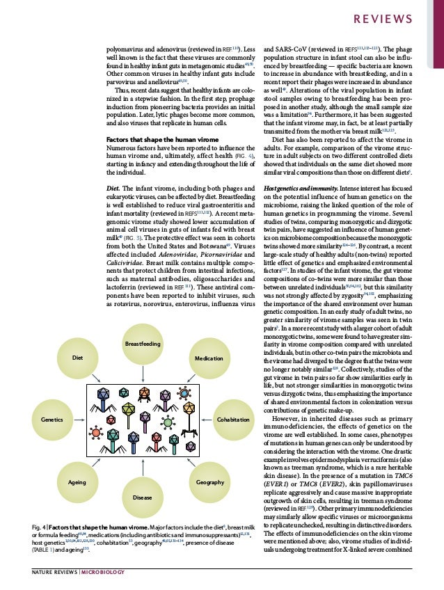 0123456789();:
polyomavirus and adenovirus (reviewed in ref.110
). Less
well known is the fact that these viruses are commonly
found in healthy infant guts in metagenomic studies49,50
.
Other common viruses in healthy infant guts include
parvovirus and anellovirus49,50
.
Thus, recent data suggest that healthy infants are colo­
nized in a stepwise fashion. In the first step, prophage
induction from pioneering bacteria provides an initial
population. Later, lytic phages become more common,
and also viruses that replicate in human cells.
Factors that shape the human virome
Numerous factors have been reported to influence the
human virome and, ultimately, affect health (Fig. 4),
starting in infancy and extending throughout the life of
the individual.
Diet. The infant virome, including both phages and
eukaryotic viruses, can be affected by diet. Breastfeeding
is well established to reduce viral gastroenteritis and
infant mortality (reviewed in refs111,112
). A recent meta­
genomic virome study showed lower accumulation of
animal cell viruses in guts of infants fed with breast
milk49
(Fig. 3). The protective effect was seen in cohorts
from both the United States and Botswana49
. Viruses
affected included Adenoviridae, Picornaviridae and
Caliciviridae. Breast milk contains multiple compo­
nents that protect children from intestinal infections,
such as maternal antibodies, oligosaccharides and
lactoferrin (reviewed in ref.111
). These antiviral com­
ponents have been reported to inhibit viruses, such
as rotavirus, norovirus, enterovirus, influenza virus
and SARS-CoV (reviewed in refs111,113–121
). The phage
population structure in infant stool can also be influ­
enced by breastfeeding — specific bacteria are known
to increase in abundance with breastfeeding, and in a
recent report their phages were increased in abundance
as well49
. Alterations of the viral population in infant
stool samples owing to breastfeeding has been pro­
posed in another study, although the small sample size
was a limitation94
. Furthermore, it has been suggested
that the infant virome may, in fact, be at least partially
transmitted from the mother via breast milk122,123
.
Diet has also been reported to affect the virome in
adults. For example, comparison of the virome struc­
ture in adult subjects on two different controlled diets
showed that individuals on the same diet showed more
similar viral compositions than those on different diets6
.
Hostgeneticsandimmunity.Intense interest has focused
on the potential influence of human genetics on the
microbiome, raising the linked question of the role of
human genetics in programming the virome. Several
studies of twins, comparing monozygotic and dizygotic
twin pairs, have suggested an influence of human genet­
ics on microbiome composition because the monozygotic
twins showed more similarity124–126
. By contrast, a recent
large-scale study of healthy adults (non-twins) reported
little effect of genetics and emphasized environmental
factors127
. In studies of the infant virome, the gut virome
compositions of co-twins were more similar than those
between unrelated individuals50,94,102
, but this similarity
was not strongly affected by zygosity94,102
, emphasizing
the importance of the shared environment over human
genetic composition. In an early study of adult twins, no
greater similarity of virome samples was seen in twin
pairs3
. In a more recent study with a larger cohort of adult
monozygotic twins, some were found to have greater sim­
ilarity in virome composition compared with unrelated
individuals, but in other co-twin pairs the microbiota and
the virome had diverged to the degree that the twins were
no longer notably similar128
. Collectively, studies of the
gut virome in twin pairs so far show similarities early in
life, but not stronger similarities in monozygotic twins
versus dizygotic twins, thus emphasizing the importance
of shared environmental factors in colonization versus
contributions of genetic make-up.
However, in inherited diseases such as primary
immuno­
deficiencies, the effects of genetics on the
virome are well established. In some cases, phenotypes
of mutations in human genes can only be understood by
considering the interaction with the virome. One drastic
example involves epidermodysplasia verruciformis (also
known as treeman syndrome, which is a rare heritable
skin disease). In the presence of a mutation in TMC6
(EVER1) or TMC8 (EVER2), skin papillomaviruses
replicate aggressively and cause massive inappropriate
outgrowth of skin cells, resulting in treeman syndrome
(reviewed in ref.129
). Other primary immunodeficiencies
may similarly allow specific viruses or microorganisms
to replicate unchecked, resulting in distinctive disorders.
The effects of immunodeficiencies on the skin virome
were mentioned above; also, virome studies of individ­
uals undergoing treatment for X-linked severe combined
Diet
Breastfeeding
Medication
Disease
Geography
Ageing
Genetics Cohabitation
Fig. 4 | Factors that shape the human virome.Majorfactorsincludethediet6
,breastmilk
orformulafeeding49,94
,medications(includingantibioticsandimmunosuppressants)12,131
,
hostgenetics3,50,94,102,128,130
,cohabitation53
,geography49,65,131–134
,presenceofdisease
(Table 1) andageing133
.
Nature Reviews | Microbiology
Reviews
 