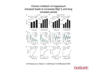Chronic inhibition of magnesium
transport leads to increased [Mg2+]i and long
circadian period
K A Feeney et al. Nature 1–4 (2016) doi:10.1038/nature17407
 