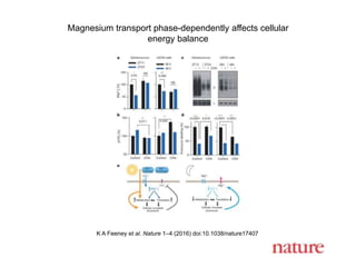 Magnesium transport phase-dependently affects cellular
energy balance
K A Feeney et al. Nature 1–4 (2016) doi:10.1038/nature17407
 