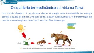 5
O equilíbrio termodinâmico e a vida na Terra
Uma cadeia alimentar é um sistema aberto. A energia solar é convertida em energia
química passada de um ser vivo para outro, e assim sucessivamente. A transformação de
uma forma de energia em outra resulta em um fluxo de energia.
 