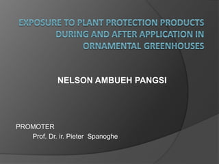 NELSON AMBUEH PANGSI
PROMOTER
Prof. Dr. ir. Pieter Spanoghe
 