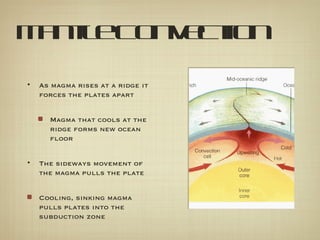 M n l Co v c io
 a te n e t n

•   As magma rises at a ridge it
    forces the plates apart


      Magma that cools at the
      ridge forms new ocean
      floor


•   The sideways movement of
    the magma pulls the plate


    Cooling, sinking magma
    pulls plates into the
    subduction zone
 