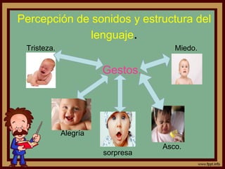 Percepción de sonidos y estructura del
lenguaje.
Gestos.
Asco.
sorpresa
Tristeza.
Alegría
Miedo.
 