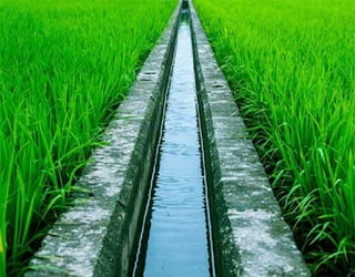 Irrigation System 
