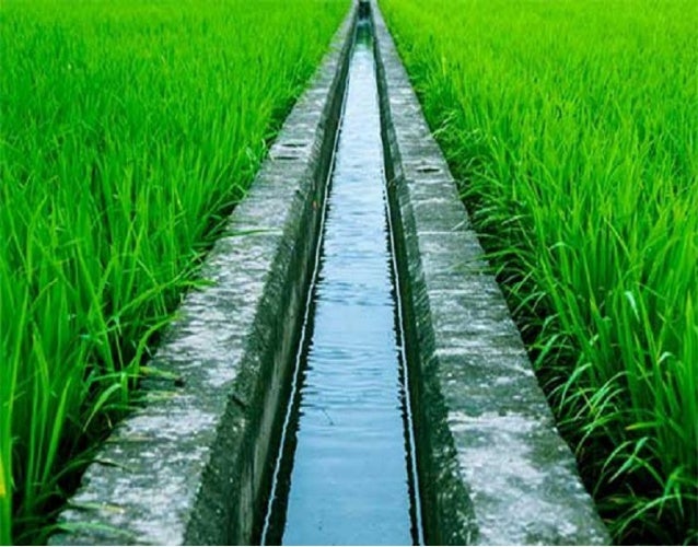 Irrigation System
