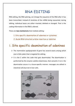 RNA EDITING
RNA editing, like RNA splicing, can change the sequence of the RNA after it has
been transcribed. Instead of stretches of the mRNA being reassorted, during
editing, individual bases are either inserted, deleted or changed. That is the
coding information in the RNA is altered.
There are two mechanisms that mediate editing:
1. Site specific deamination of adenines or cytosines
2. Guide RNA directed uridine insertion or deletion
1. Site specific deamination of adenines
➢ The mammalian apolipoprotein B gene has several exons among which
one is CAA codon that is targeted for editing.
➢ It is the C within the code that gets deaminated. The deamination is
performed by the enzyme cytidine deaminase, that converts C to U. the
deamination occurs in a tissue-specific manner: messages are edited in
intestinal cells but not in liver cells.
 