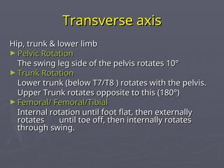Transverse Hip Rotation Gait-Biomechanics in diabetic foot -ppt.ppt