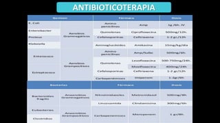 ANTIBIOTICOTERAPIA
 