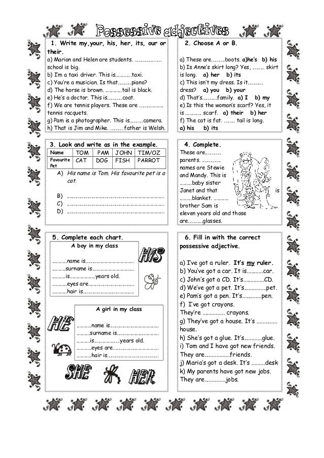 possessive adjectives