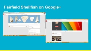 Fairfield Shellfish on Google+
 