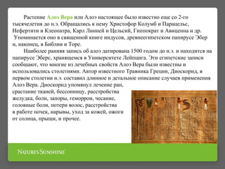 Растение Алоэ Вера или Алоэ настоящее было известно еще со 2-го
тысячелетия до н.э. Обращались к нему Христофор Колумб и Парацельс,
Нефертити и Клеопатра, Карл Линней и Цельсий, Гиппократ и Авиценна и др.
Упоминается оно в священной книге индусов, древнеегипетском папирусе Эбер
и, наконец, в Библии и Торе.
Наиболее ранняя запись об алоэ датирована 1500 годом до н.э. и находится на
папирусе Эберс, хранящемся в Университете Лейпцига. Эти египетские записи
сообщают, что многие из лечебных свойств Алоэ Вера были известны и
использовались столетиями. Автор известного Травника Греции, Диоскорид, в
первом столетии н.э. составил длинное и детальное описание случаев применения
Алоэ Вера. Диоскорид упомянул лечение ран,
срастание тканей, бессонницу, расстройства
желудка, боли, запоры, геморрои, чесание,
головные боли, потери волос, расстройства
в работе почек, нарывы, уход за кожей, ожоги
от солнца, прыщи, и прочее.
 