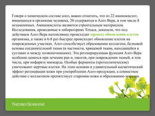 Говоря о химическом составе алоэ, важно отметить, что из 22 аминокислот,
имеющихся в организме человека, 20 содержится в Алоэ Вера, в том числе 8
незаменимых. Аминокислоты являются строительным материалом.
Исследования, проводимые в лабораториях Техаса, доказали, что под
действием Алоэ Вера интенсивнее происходит процесс обновления клеток
организма, а также в 6-8 раз быстрее происходит обновление клеток на
поврежденных участках. Алоэ способствует образованию коллагена, белковой
основы соединительной ткани (в частности, хрящевой ткани, находящейся в
суставах и между позвоночниками). Эта регенерирующая функция Алоэ Вера
особенно ценится при лечении ран и, ожогов, при повреждении тканей, в том
числе, при инфаркте миокарда. Особые ферменты (протеолитические)
уничтожают мертвые клетки. На этом основан и удивительный косметический
эффект регенерации кожи при употреблении Алоэ-продукции, а совместное
действие с коллагеном препятствует старению кожи и образованию морщин.
 