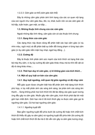 1.2.2.3. Cảm giác cơ thể (cảm giác bản thể)
Đây là những cảm giác phản ánh tình trạng của các cơ quan nội tạng
của con người như cảm giác đau, đói, no, khát, buồn nôn và các cảm giác về
hô hấp, tuần hoàn, gan mật, cơ bắp…
1.3. Những thuộc tính chung của các cảm giác
Ngoài những đặc tính riêng, cảm giác còn có các thuộc tính chung:
1.3.1. Dạng thức của cảm giác
Các dạng thức này được dùng để phân biệt các loại cảm giác (ví dụ
nhìn màu, ngửi mùi) và để phân biệt sự biến đổi trong phạm vi từng loại cảm
giác (ví dụ cảm giác nếm mặn hay nhạt, ngọt hay đắng…).
1.3.2. Cường độ
Đây là thuộc tính phản ánh sức mạnh của kích thích và trạng thái của
bộ máy thụ cảm, ví dụ tùy cường độ cảm giác khác nhau mà ta nhìn đồ vật có
độ rõ ràng khác nhau…
1.3.3. Thời hạn duy trì cảm giác, vị trí không gian của kích thích…
1.4. Một số quy luật cơ bản của cảm giác
1.4.1. Quy luật ngưỡng, mối quan hệ giữa ngưỡng và độ nhạy cảm
Mỗi giác quan được chuyên biệt hóa để phản ánh một dạng kích thích
phù hợp, ví dụ mắt phản ánh các sóng ánh sáng, tai phản ánh các sóng âm
thanh… Song không phải mọi kích thích khi đã tác động vào giác quan tương
ứng đều gây ra cảm giác. Muốn gây nên cảm giác, kích thích phải đạt tới một
giới hạn nhất định. Giới hạn mà ở đó kích thích gây ra được cảm giác gọi là
ngưỡng cảm giác. Có hai loại ngưỡng cảm giác:
1.4.1.1. Ngưỡng tuyệt đối
Bao gồm ngưỡng tuyệt đối phía dưới (là cường độ hoặc tính chất kích
thích tối thiểu đủ gây ra cảm giác) và ngưỡng tuyệt đối phía trên (là cường độ
hoặc tính chất kích thích tối đa mà ở đó vẫn còn gây ra cảm giác tương ứng).
 