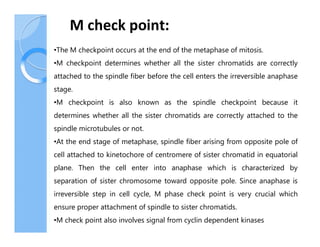 Mkw Checkpoints 4192_Cyclins CDKs, cell cycle regulation and checkpoints.pdf