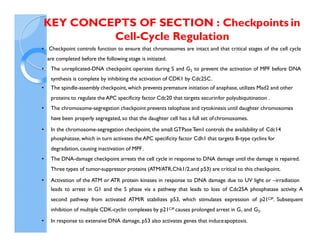 4192_Cyclins CDKs, cell cycle regulation and checkpoints.pdf