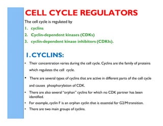 4192_Cyclins CDKs, cell cycle regulation and checkpoints.pdf