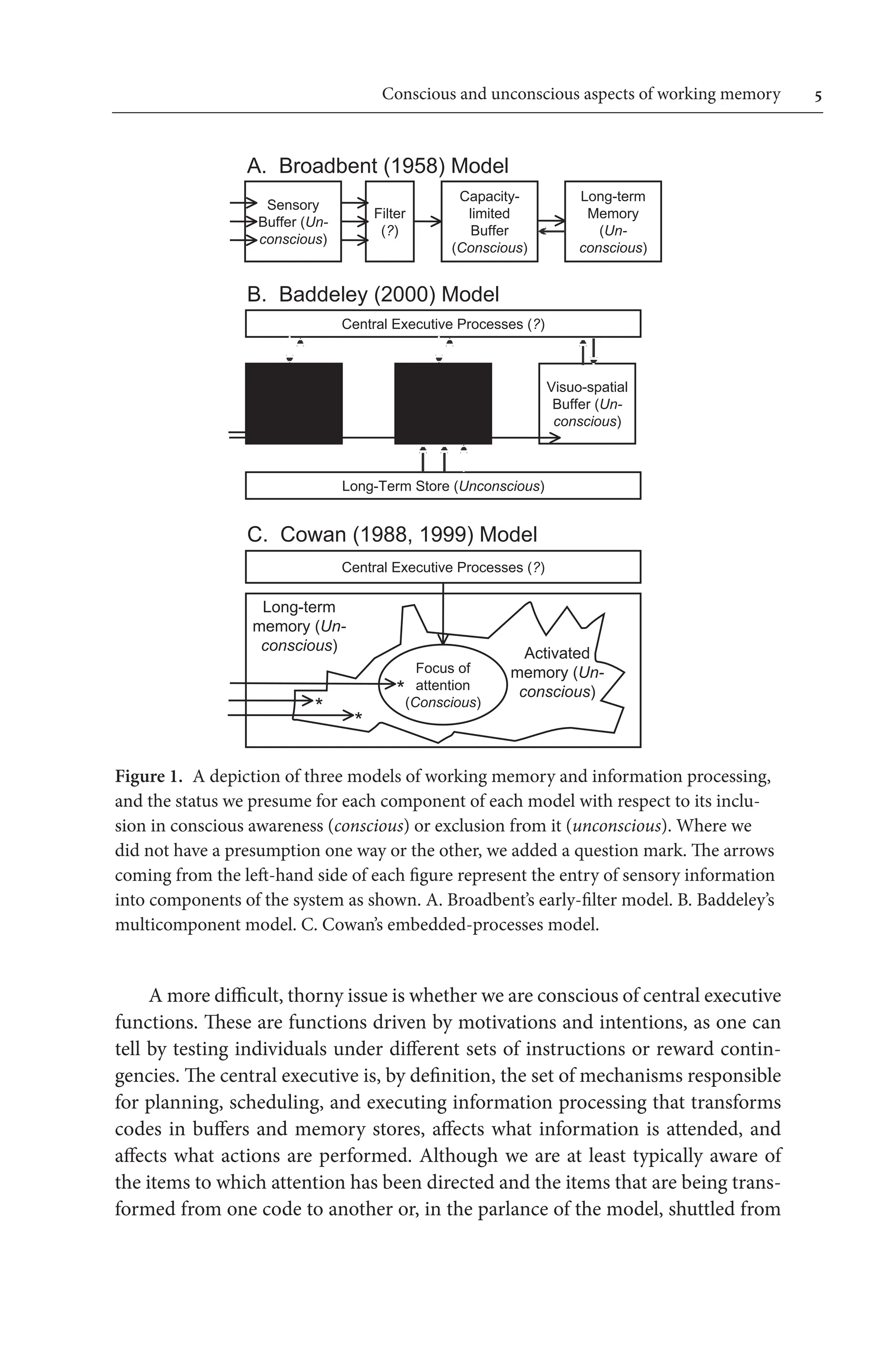 Conscious and unconscious aspects of working memory	 
A more difficult, thorny issue is whether we are conscious of central executive
functions. These are functions driven by motivations and intentions, as one can
tell by testing individuals under different sets of instructions or reward contin-
gencies. The central executive is, by definition, the set of mechanisms responsible
for planning, scheduling, and executing information processing that transforms
codes in buffers and memory stores, affects what information is attended, and 
affects what actions are performed. Although we are at least typically aware of
the items to which attention has been directed and the items that are being trans-
formed from one code to another or, in the parlance of the model, shuttled from 
Figure 1. A depiction of three models of working memory and information processing,
and the status we presume for each component of each model with respect to its inclu-
sion in conscious awareness (conscious) or exclusion from it (unconscious). Where we
did not have a presumption one way or the other, we added a question mark. The arrows
coming from the left-hand side of each figure represent the entry of sensory information
into components of the system as shown. A. Broadbent’s early-filter model. B. Baddeley’s
multicomponent model. C. Cowan’s embedded-processes model.
Sensory
Buffer (Un-
conscious)
Filter
(?)
Capacity-
limited
Buffer
(Conscious)
A. Broadbent (1958) Model
Long-term
Memory
(Un-
conscious)
B. Baddeley (2000) Model
Visuo-spatial
Buffer (Un-
conscious)
Central Executive Processes (?)
Long-Term Store (Unconscious)
Phonological
Buffer (Un-
conscious)
Episodic
Buffer
(Conscious)
Central Executive Processes (?)
C. Cowan (1988, 1999) Model
Long-term
memory (Un-
conscious) Activated
memory (Un-
conscious)
Focus of
attention
(Conscious)
*
*
*
 