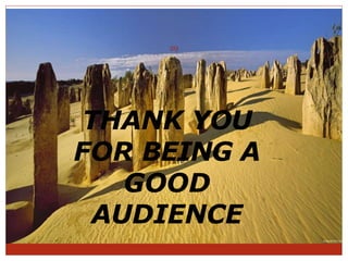 THANK YOU
FOR BEING A
GOOD
AUDIENCE
29
 