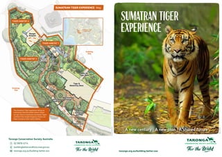 taronga.org.au/building-better-zoo
Sumatran Tiger
Experience
A new century A new plan A shared future
Existing
Zoo
Existing
Zoo
Ranger
Outpost
Open Air
Tiger Dens
Tiger &
Maternity Dens
Start of
Sumatran
Journey
Way Kambas
Village
Viewing
Area
Viewing
Area
Viewing
Area
Viewing
Bridge
Discovery
Trail
TIGER HABITAT 1
TIGER HABITAT 2
TIGER HABITAT 3
Sumatran Tiger
Experience
The Sumatran Tiger experience will be an
Indonesian-themed exhibit where visitors
can get close to mysterious Sumatran Tigers
and learn how simple shopping choices can
help to preserve their native habitat.
SUMATRAN TIGER EXPERIENCE Map
Taronga Conservation Society Australia
	 T   02 9978 4714
	 E  buildingbetterzoo@zoo.nsw.gov.au
	 W  taronga.org.au/building-better-zoo
Entry / Exit
Learning
Hub
Printedonrecycledstock
Photo:ChrisKara
 