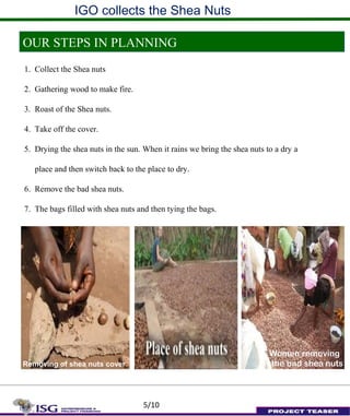 IGO collects the Shea Nuts
OUR STEPS IN PLANNING
1. Collect the Shea nuts
2. Gathering wood to make fire.
3. Roast of the Shea nuts.
4. Take off the cover.
5. Drying the shea nuts in the sun. When it rains we bring the shea nuts to a dry a
place and then switch back to the place to dry.
6. Remove the bad shea nuts.
7. The bags filled with shea nuts and then tying the bags.
5/10
Removing of shea nuts cover
Women removing
the bad shea nuts
 