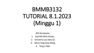 BMMB3132
TUTORIAL 8.1.2023
(Minggu 1)
Ahli Kumpulan:
1. Asyrifah Binti Azizan
2. Christine Lau Siew Qi
3. Olivia Tang Siew Rong
4. Teng Li Mei
 