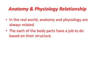 Anatomy & Physiology Relationship
• In the real world, anatomy and physiology are
always related.
• The each of the body parts have a job to do
based on their structure.
 