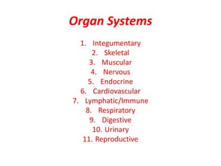 Organ Systems
1. Integumentary
2. Skeletal
3. Muscular
4. Nervous
5. Endocrine
6. Cardiovascular
7. Lymphatic/Immune
8. Respiratory
9. Digestive
10. Urinary
11. Reproductive
 