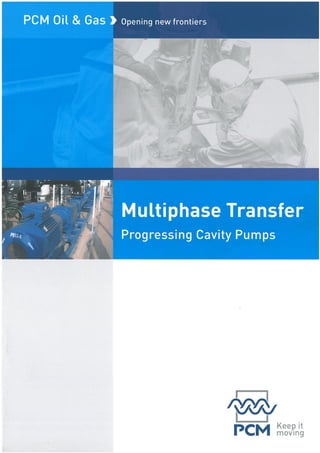 PCM Oil & Gas Multiphase Transfer