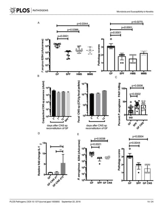 Microbiota and Susceptibility to Keratitis
PLOS Pathogens | DOI:10.1371/journal.ppat.1005855 September 22, 2016 14 / 24
 