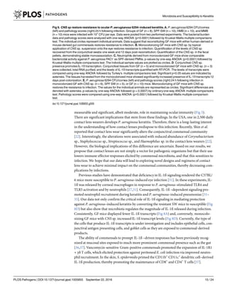 measurable and significant, albeit moderate, role in maintaining ocular immunity (Fig 5).
There are significant implications that stem from these findings. In the USA, one in 2,500 daily
contact lens wearers develops P. aeruginosa keratitis. Therefore, there is a long-lasting interest
in the understanding of how contact lenses predispose to this infection. Recently, Shin et al.
reported that contact lens wear significantly alters the conjunctival commensal community
[22]. Interestingly, the alterations were associated with reduced abundance of Corynebacterium
sp., Staphylococcus sp., Streptococcus sp., and Haemophilus sp. in the contact lens wearers [22].
However, the biological implications of this difference are uncertain. Based on our results, we
propose that contact lenses are not simply a vector for pathogenic organisms but that their use
lowers immune effector responses elicited by commensal microbiota, and that this sensitizes to
infection. We hope that our data will lead to exploring novel designs and regimens of contact
lens wear to achieve minimal impact on the commensal communities, thereby decreasing com-
plications by infections.
Previous studies have demonstrated that deficiencyin IL-1ß signaling rendered the C57BL/
6 mice more susceptible to P. aeruginosa–induced eye infection [31]. In these experiments, IL-
1ß was released by corneal macrophages in response to P. aeruginosa–stimulated TLR4 and
TLR5 activation and by neutrophils [27,31]. Consequently, IL-1ß –dependent signaling pro-
moted neutrophil recruitment during keratitis and P. aeruginosa–induced pneumonias [31–
35]. Our data not only confirm the critical role of IL-1ß signaling in mediating protection
against P. aeruginosa–induced keratitis by converting the resistant SW mice to susceptible (Fig
8D) but also show that microbiota regulates the magnitude of IL-1ß released during infection.
Consistently, GF mice displayed fewer IL-1ß transcripts (Fig 8A) and, conversely, monocolo-
nizing GF mice with CNS sp. increased IL-1ß transcript levels (Fig 8D). Currently, the type of
the cells that produce IL-1ß transcripts is under investigation and includes epithelial cells, con-
junctival antigen presenting cells, and goblet cells as they are exposed to commensal-derived
products.
The ability of commensals to prompt IL-1ß –driven responses has been previously recog-
nized at mucosal sites exposed to much more prominent commensal presence such as the gut
[36,37]. Vancomycin-sensitive Gram-positive commensals promoted the expansion of IL-1R1
+ γδ T cells, which elicited protection against peritoneal E. coli infection via improved neutro-
phil recruitment. In the skin, S. epidermidis primed the CD11b+
CD11c+
dendritic cell–derived
IL-1ß production, thereby promoting the maintenance of CD8+
and CD4+
T cells [37].
Fig 9. CNS sp restore resistance to ocular P. aerugiunosa 6294–induced keratitis.A. P. aeruginosa6294 CFU/cornea
(left) and pathology scores (right)24 h following infection. Groups of GF (n = 8), SPF-SW (n = 10), HMB (n = 10), and MMB
(n = 10) mice were infected with 107
CFU per eye. Data were pooled from two performed experiments. The bacterial burden
data and pathology scores were analyzed with one-way ANOVA (p<0.0001) followed by Kruskal-Wallis multiple comparisons
test. The individual circles represent individual animals. Data suggest that reconstituting GF mice with either human-derived or
mouse-derived gut commensals restores resistance to infection. B. Monocolonizing GF mice with CNS sp. by topical
application of CNS sp. suspension onto the eye restores resistance to infection. Quantification of the levels of CNS sp
recovered from the conjunctival swabs one week and 12 days post-reconstitution. Quantification of the CNS sp. in the fecal
pellets, demonstrating stable monoassociation. C. Neutrophils derived from monocolonized GF mice show comparable
bactericidal activity against P. aeruginosa PAO1 as SPF-derived PMNs. p-values by one-way ANOVA (p<0.0001) followed by
Kruskal-Wallis multiple comparisons test. The individual sample values are plotted as circles. D. Conjunctival CNS sp.
presence promotes IL-1ß transcription. Conjunctival tissues from GF (n = 5) and monocolonized GF mice with CNS sp. (n = 3)
were collected, total RNA purified, and the levels of IL-1ß transcripts quantified with RT-PCR. The levels of transcripts were
compared using one-way ANOVA followed by Turkey’s multiple comparisons test. Significant p<0.05 values are indicated by
asterisks. The tissues harvested from the monocolonized mice showed significantly increased presence of IL-1ß transcripts 12
days post-colonization. E. P. aeruginosa 6294 CFU/cornea (left) and pathology scores (right) 24 h following infection in
monocolonized GF with CNS sp. (n = 6), SPF SW (n = 5), or GF (n = 10) mice. Monocolonizing of GF mice with CNS sp.
restores the resistance to infection. The values for the individual animals are represented as circles. Significant differences are
denoted with asterisks. p-values by one-way ANOVA followed (p = 0.0007) by ordinaryone-way ANOVA multiple comparisons
test. Pathology scores were compared using one-way ANOVA (p<0.0001) followed by Kruskal-Wallis multiple comparison
test.
doi:10.1371/journal.ppat.1005855.g009
Microbiota and Susceptibility to Keratitis
PLOS Pathogens | DOI:10.1371/journal.ppat.1005855 September 22, 2016 15 / 24
 