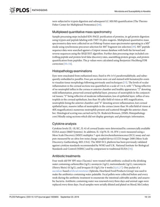 were subjected to trypsin digestion and subsequent LC-MS/MS quantification (The Thermo
Fisher Center for Multiplexed Proteomics) [48].
Multiplexed quantitative mass spectrometry
Sample processing steps included SDS-PAGE purification of proteins, in-gel protein digestion
using trypsin and peptide labeling with TMT 10-plex reagents. Multiplexed quantitative mass
spectrometrydata were collected on an Orbitrap Fusion mass spectrometer operating in a MS3
mode using synchronous precursor selection for MS2
fragment ion selection [49]. MS2
peptide
sequence data were searched against a Uniprot mouse database with both the forward and
reverse sequences using the SEQUEST algorithm. Further data processing steps included con-
trolling peptide and protein level false discovery rates, assembling protein groups, and protein
quantification from peptides. The p-values were calculated using Benjamini-Hochberg FDR
correction [50–54].
Histopathology examinations
Eyes were enucleated from euthanized mice, fixed in 4% (v/v) paraformaldehyde, and subse-
quently embedded in paraffin. Four μm sections were cut and stained with hematoxylin-eosin
to visualize tissue morphology following previously used techniques [55]. The levels of ocular
inflammation in the corneal sections was quantified on a scale of 1 to 4, with “1”being reflective
of no neutrophil influx in the cornea or anterior chamber and healthy appearance; “2” denoting
mild inflammation, preserved corneal epithelial layer, presence of neutrophils in the conjuncti-
val tissues; “3” being reflective of moderate inflammation, loss of epithelial layer, influx of neu-
trophils in the corneal epithelium, less than 50 cells/ field of vision at 40X magnification,
neutrophils lining the anterior chamber; and “4” denoting severe inflammation, lost corneal
epithelial layer, massive influx of neutrophils in the cornea (more than 50 cells/field of vision at
40X magnification); numerous neutrophils present and scattered thought the anterior cham-
ber. Histological scoring was carried out by Dr. Roderick Bronson, (HMS, Histopathology
core) blindly using sections which did not display genotypic and phenotypic information.
Cytokine analysis
Cytokine levels (IL-1ß, KC, IL-6) of corneal lysates were determined by commercially available
ELISA assays (R&D Systems). In addition, IL-12p70, IL-10, IFN-γ were measured using a
Meso Scale Discovery (MSD) multiplex 7-spot electrochemiluminescence(ECL) assay and out-
puts measured by an ultra-low noise charge-coupled device (CCD) Imager 2400 (Meso Scale
Discovery, Gaithersburg, MD, USA). The MSD ECL platform has been previously validated
against cytokine standards recommended by WHO and U.K. National Institute for Biological
Standards and Control (NIBSC) and by comparison to traditional ELISA [56].
Antibiotic treatments
Four week old SW SPF mice (Taconic) were treated with antibiotic cocktail in the drinking
water containing carbenicillin(1g/L), neomycin (1g/L), metronidazole (1g/L), vancomycin
(Henry Shein) (0.5g/L), and levaquin (0.15g/L) for 4 weeks [4,41,57]. One packet of a
sucralose-basedartificial sweetener (Splenda, Heartland Food Products Group) was used to
make the antibiotics containing water palatable. Fecal pellets were collected before and every
week during the antibiotic treatment to enumerate the intestinal cultivable aerobic and anaero-
bic bacteria. Antibiotic containing water was renewed every three days and animal cages were
replaced every three days. Fecal samples were serially diluted and plated on blood, McConkey
Microbiota and Susceptibility to Keratitis
PLOS Pathogens | DOI:10.1371/journal.ppat.1005855 September 22, 2016 18 / 24
 