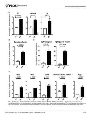 Fig 1. GF mice have decreased levels of innate and adaptive immune effectors at the ocular surface.A. Significantly decreased levels of
complement proteins at the ocular surface in GF mice compared to SPF mice. B. Significantly decreased levels of iron binding protein serotransferrin at
the ocular surface. C. Decreased levels of immunoglobulins at the ocular surface. D. Decreased levels of neutrophil-derived peptides at the ocular
Microbiota and Susceptibility to Keratitis
PLOS Pathogens | DOI:10.1371/journal.ppat.1005855 September 22, 2016 4 / 24
 
