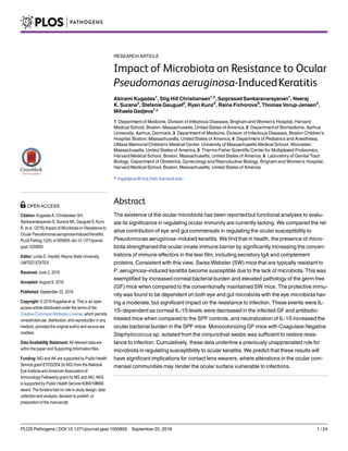 RESEARCH ARTICLE
Impact of Microbiota on Resistance to Ocular
Pseudomonas aeruginosa-InducedKeratitis
Abirami Kugadas1
, Stig Hill Christiansen1,2
, Saiprasad Sankaranarayanan1
, Neeraj
K. Surana3
, Stefanie Gauguet4
, Ryan Kunz5
, Raina Fichorova6
, Thomas Vorup-Jensen2
,
Mihaela Gadjeva1
*
1 Department of Medicine, Division of Infectious Diseases, Brigham and Women’s Hospital, Harvard
Medical School, Boston, Massachusetts, United States of America, 2 Departmentof Biomedicine, Aarhus
University, Aarhus, Denmark, 3 Department of Medicine, Division of Infectious Diseases, Boston Children’s
Hospital, Boston, Massachusetts, United States of America, 4 Department of Pediatrics and Anesthesia,
UMass MemorialChildren’s Medical Center, University of Massachusetts Medical School, Worcester,
Massachusetts, United States of America, 5 ThermoFisher Scientific Center for Multiplexed Proteomics,
Harvard Medical School, Boston, Massachusetts, United States of America, 6 Laboratory of Genital Tract
Biology, Department of Obstetrics, Gynecology and Reproductive Biology, Brigham and Women’s Hospital,
Harvard Medical School, Boston, Massachusetts, United States of America
* mgadjeva@rics.bwh.harvard.edu
Abstract
The existence of the ocular microbiota has been reportedbut functional analyses to evalu-
ate its significance in regulating ocular immunity are currently lacking. We compared the rel-
ative contribution of eye and gut commensals in regulating the ocular susceptibility to
Pseudomonas aeruginosa–induced keratitis. We find that in health, the presence of micro-
biota strengthened the ocular innate immune barrier by significantly increasing the concen-
trations of immune effectors in the tear film, including secretory IgA and complement
proteins. Consistent with this view, Swiss Webster (SW) mice that are typically resistant to
P. aeruginosa–induced keratitis become susceptible due to the lack of microbiota. This was
exemplified by increased corneal bacterial burden and elevated pathology of the germ free
(GF) mice when compared to the conventionally maintained SW mice. The protective immu-
nity was found to be dependent on both eye and gut microbiota with the eye microbiota hav-
ing a moderate, but significant impact on the resistance to infection. These events were IL-
1ß–dependent as corneal IL-1ß levels were decreased in the infected GF and antibiotic-
treated mice when compared to the SPF controls, and neutralization of IL-1ß increased the
ocular bacterial burden in the SPF mice. Monocolonizing GF mice with Coagulase Negative
Staphylococcus sp. isolated from the conjunctival swabs was sufficient to restore resis-
tance to infection. Cumulatively, these data underline a previously unappreciated role for
microbiota in regulating susceptibility to ocular keratitis. We predict that these results will
have significant implications for contact lens wearers, where alterations in the ocular com-
mensal communities may render the ocular surface vulnerable to infections.
PLOS Pathogens | DOI:10.1371/journal.ppat.1005855 September 22, 2016 1 / 24
a11111
OPEN ACCESS
Citation: Kugadas A, Christiansen SH,
Sankaranarayanan S, Surana NK, Gauguet S, Kunz
R, et al. (2016) Impact of Microbiotaon Resistanceto
Ocular Pseudomonasaeruginosa-Induced Keratitis.
PLoS Pathog 12(9): e1005855.doi:10.1371/journal.
ppat.1005855
Editor: Linda D. Hazlett,Wayne State University,
UNITED STATES
Received:June 2, 2016
Accepted: August 9, 2016
Published: September 22, 2016
Copyright: © 2016 Kugadas et al. This is an open
access article distributedunder the terms of the
Creative Commons AttributionLicense, which permits
unrestricteduse, distribution,and reproduction in any
medium, provided the original author and source are
credited.
Data Availability Statement: All relevant data are
within the paper and Supporting Informationfiles.
Funding: MG and AK are supportedby Public Health
Service grant EY022054(to MG) from the National
Eye Instituteand American Associationof
ImmunologyFellowshipgrant (to MG and AK). NKS
is supportedby Public Health Service K08AI108690
award. The funders had no role in study design, data
collectionand analysis, decision to publish, or
preparationof the manuscript.
 