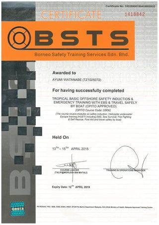 T-BOSIET Training Certificate
