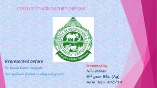 COLLEGE OF AGRICULTURE CHIPLIMA
Represented before
Dr. Kausik Kumar Panigrahi
Asst. professor of plant breeding and genetics
Presented by
Nilu Meher
3rd year BSc. (Ag)
Adm. No.- 47C/14
 