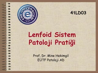 Lenfoid Sistem 
Patoloji Pratiği 
Prof. Dr. Mine Hekimgil 
EÜTF Patoloji AD 
41LD03 
 