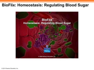 © 2014 Pearson Education, Inc.
BioFlix: Homeostasis: Regulating Blood Sugar
 