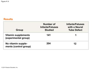 © 2014 Pearson Education, Inc.
Figure 41.4
Vitamin supplements
(experimental group)
No vitamin supple-
ments (control group)
141
204
1
12
Group
Number of
Infants/Fetuses
Studied
Infants/Fetuses
with a Neural
Tube Defect
Results
 