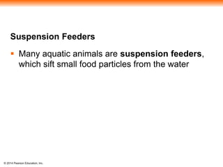 © 2014 Pearson Education, Inc.
Suspension Feeders
 Many aquatic animals are suspension feeders,
which sift small food particles from the water
 