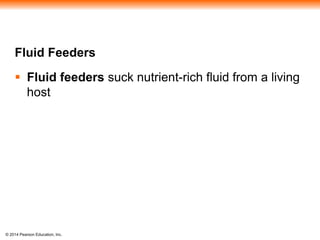 © 2014 Pearson Education, Inc.
Fluid Feeders
 Fluid feeders suck nutrient-rich fluid from a living
host
 