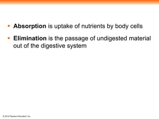 © 2014 Pearson Education, Inc.
 Absorption is uptake of nutrients by body cells
 Elimination is the passage of undigested material
out of the digestive system
 