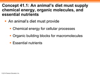 © 2014 Pearson Education, Inc.
Concept 41.1: An animal’s diet must supply
chemical energy, organic molecules, and
essential nutrients
 An animal’s diet must provide
 Chemical energy for cellular processes
 Organic building blocks for macromolecules
 Essential nutrients
 