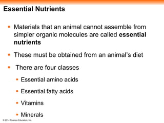 © 2014 Pearson Education, Inc.
Essential Nutrients
 Materials that an animal cannot assemble from
simpler organic molecules are called essential
nutrients
 These must be obtained from an animal’s diet
 There are four classes
 Essential amino acids
 Essential fatty acids
 Vitamins
 Minerals
 