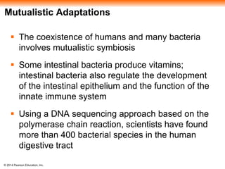 © 2014 Pearson Education, Inc.
Mutualistic Adaptations
 The coexistence of humans and many bacteria
involves mutualistic symbiosis
 Some intestinal bacteria produce vitamins;
intestinal bacteria also regulate the development
of the intestinal epithelium and the function of the
innate immune system
 Using a DNA sequencing approach based on the
polymerase chain reaction, scientists have found
more than 400 bacterial species in the human
digestive tract
 